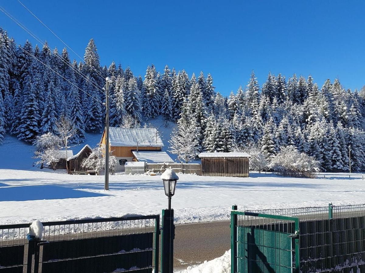 Zwergenhäusl Apartment Grünau im Almtal