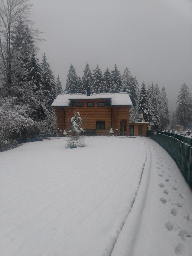 Zwergenhäusl Apartment Grünau im Almtal